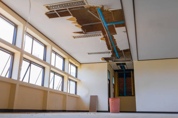 Best Professional water damage repair  in Helena Valley Northeast, MT