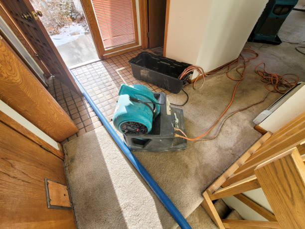 Best Mold removal after water damage  in Helena Valley Northeast, MT
