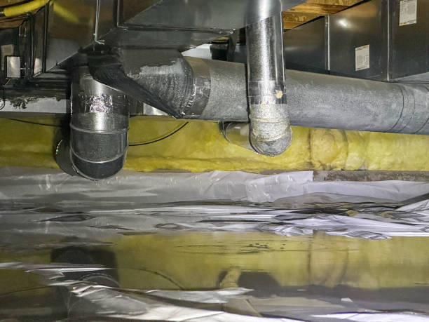 Best Water damage contractors near me  in Helena Valley Northeast, MT