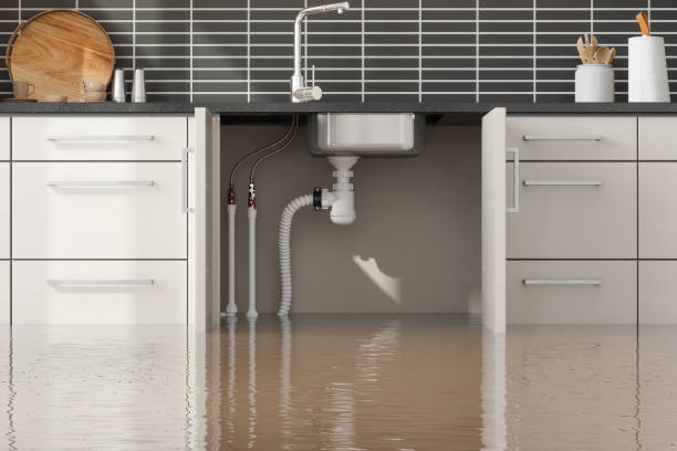 Best 24-hour water damage restoration  in Helena Valley Northeast, MT